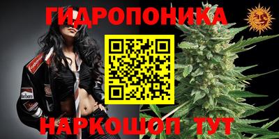 гидропоника Берёзовский