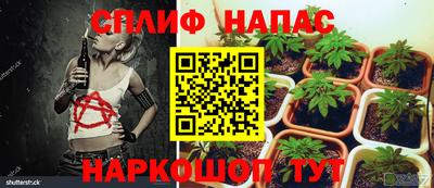 дурь Беслан