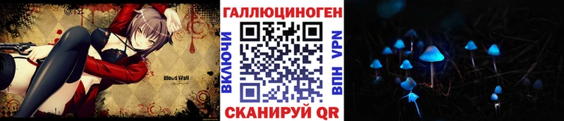 купить   Котлас  Псилоцибиновые грибы GOLDEN TEACHER 