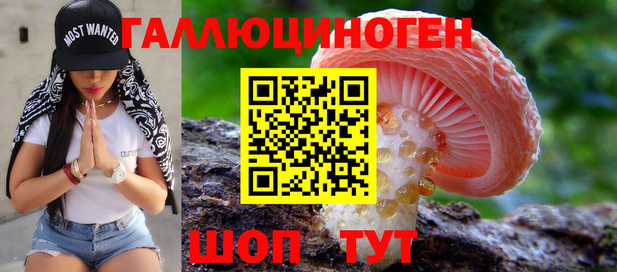 Галлюциногенные грибы Cubensis Котлас